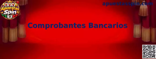 Guía sobre comprobantes bancarios, transferencias y documentación de pagos